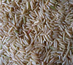 Manufacturers Exporters and Wholesale Suppliers of Pusa Basmati Brown Rice Nagpur Maharashtra
